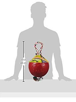 Jolly Pets Romp-n-Roll - Juguete para Perro con Cuerda y Bola, 20,3 cm, Grande, Rojo (608 RD)