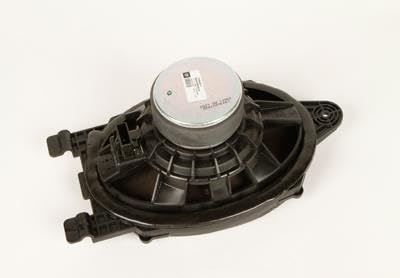 GM Parts 13264617 Altavoz de altavoz ovalado de radio trasero de 6 x 9 pulgadas