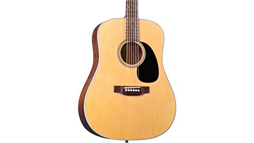Blueridge BR-60 Guitarra acorazada de la serie contemporánea