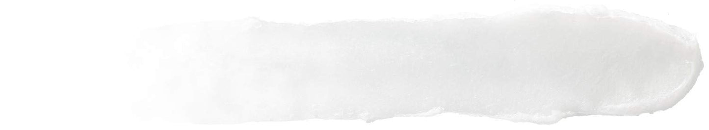 Burt's Bees Bálsamo Labial de Coco y Pera and Mango - Coconut and Pear and Mango Lipbalm - Pack x2