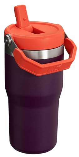 Vaso Stanley ciruela con Asa y Popote Abatible, 20 onzas, Acero Inoxidable Aislado, Resistente a Fugas, sin BPA