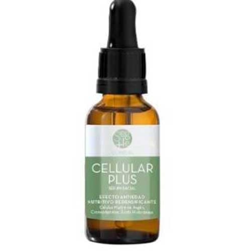 Segle Clinical | Serum Cellular Plus | Efecto Antiarrugas | Pieles Secas Y Maduras | Con Aceite De Argán y Rosa Mosqueta | Producto apto para Veganos | 30ml (Small)