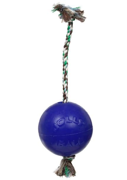 Jolly Pets Romp-n-Roll Cuerda y Bola para Perro, 4.5 Pulgadas/pequeño, Azul (645 BL)