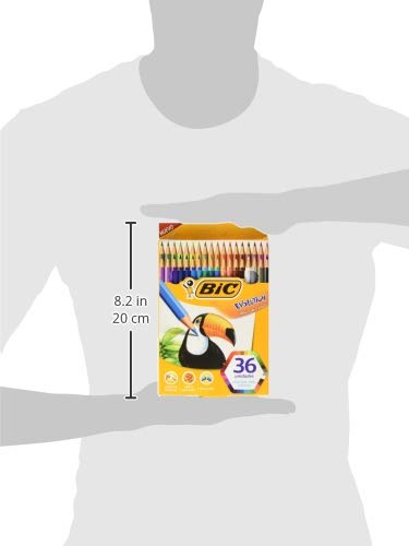 BIC Lápices de Colores Evolution Punta Resistente Sin Astillas Hecho de Resina Surtido de Colores 36 Piezas