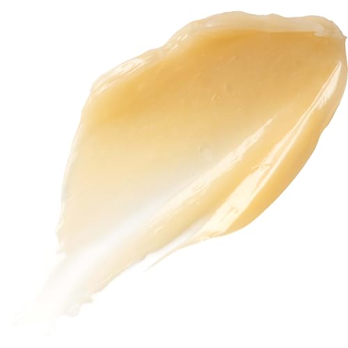 Burt's Bees 100% Natural Overnight Intensive Lip Treatment, Ultra-Conditioning Lip Care, 0.25 ounce