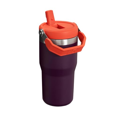 Termo de Acero Inoxidable Stanley Plum de 20 onzas con Popote Abatible a Prueba de Fugas