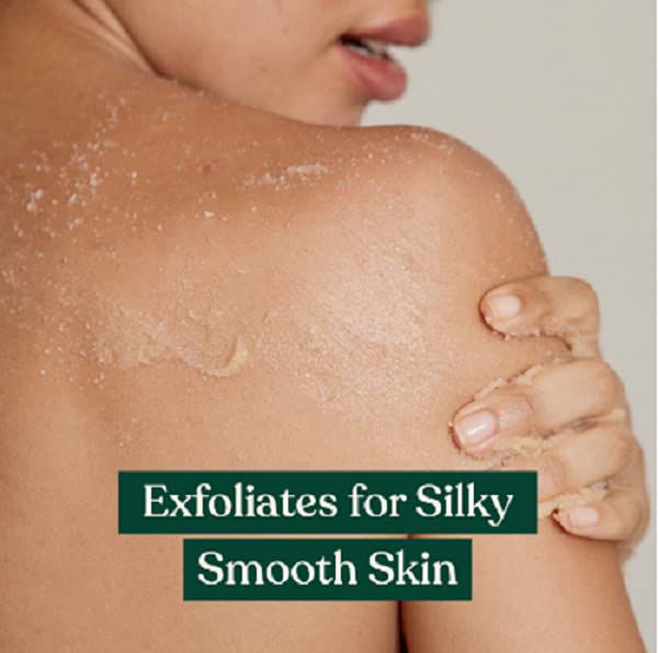 Exfoliante Corporal The Body Shop Shea 250ml