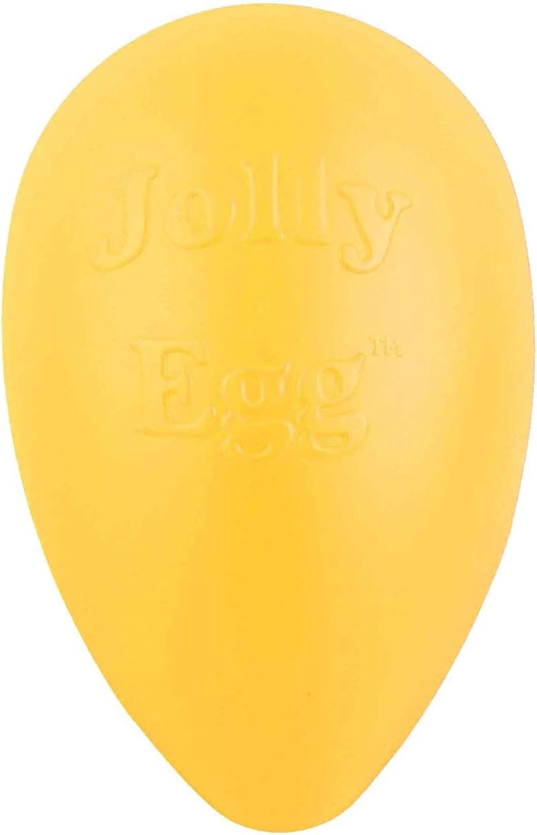 Jolly Pets Jolly - Juguete de Huevo para Perro, 8 Pulgadas, Mediano, Amarillo