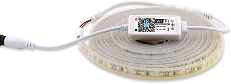 Goldwin Smart - driver de tira de luces LED de un solo color WiFi Bluetooth 5050 2835 caja de control compatible con Alexa Google Home siri (1)