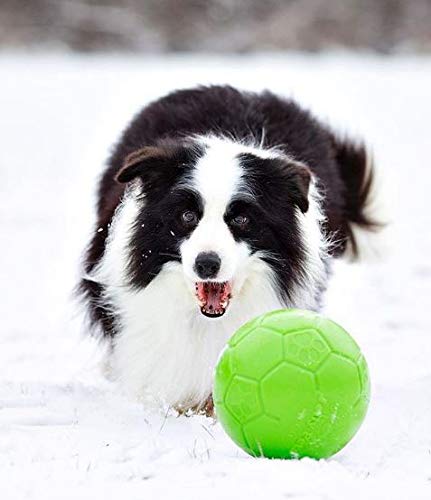 Jolly Pets - Pelota de fútbol Flotante de 20 cm de diámetro, Color Verde Manzana