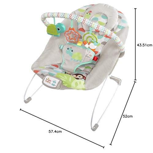 Bright Starts Mecedora Con Motivos De Safari, Multi, Paquete De 2590.0 Grams