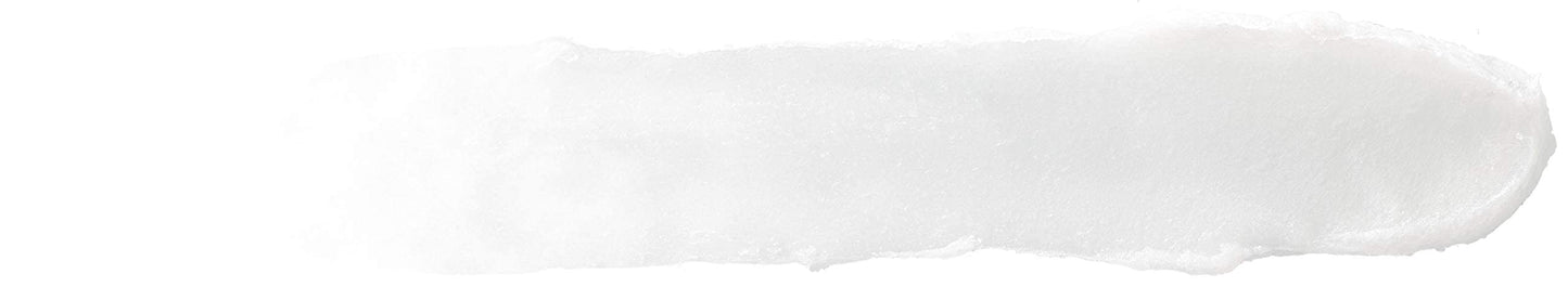 Burt's Bees 100% Natural All-Weather SPF15 Moisturizing Lip Balm, 2 Count