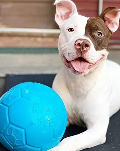 Jolly Pets Pelota de fútbol Grande Flotante para Perro, Juguete de 8 Pulgadas de diámetro, Azul océano