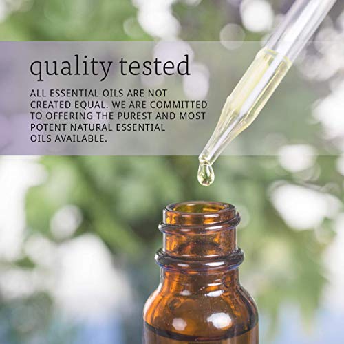 NOW Basil Oil, 1-Ounce