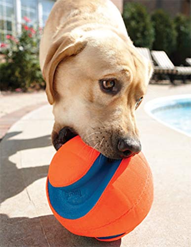 Chuckit! Kick Fetch Pelota de Juguete para Perros, Multicolor, Pequeño