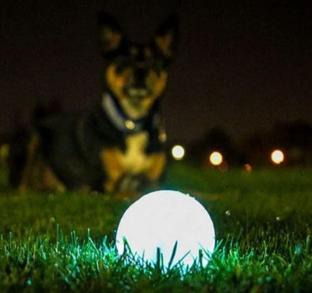 CHUCKIT Max Glow Ball, X-Large