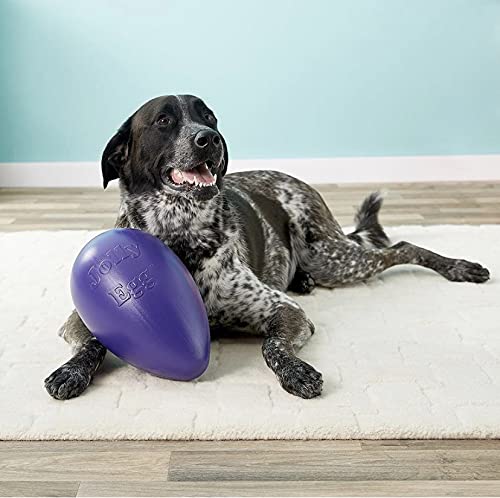 Jolly Pets Jolly Egg - Juguete para Perro, 12 Pulgadas/Grande, Morado