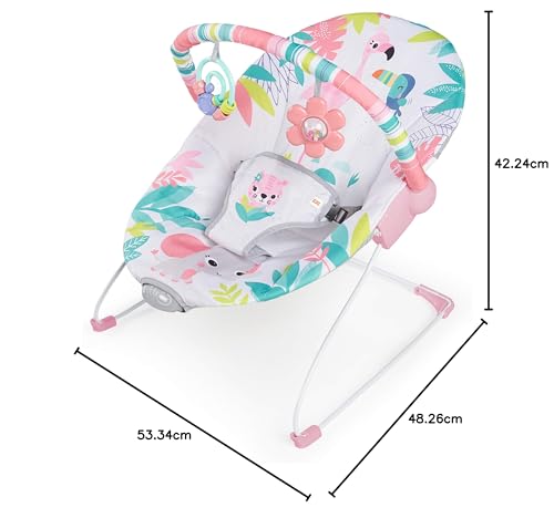 Bright Starts Mecedora Con Motivos De Flamingos Con Arés De 3 Puntos, Pink, Paquete De 2380.0 Grams