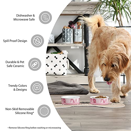 Bone Dry Lattice Collection - Cuenco y Recipiente para Mascotas, Juego Mediano, 6 x 2 Pulgadas, Aguamarina, 2 Piezas