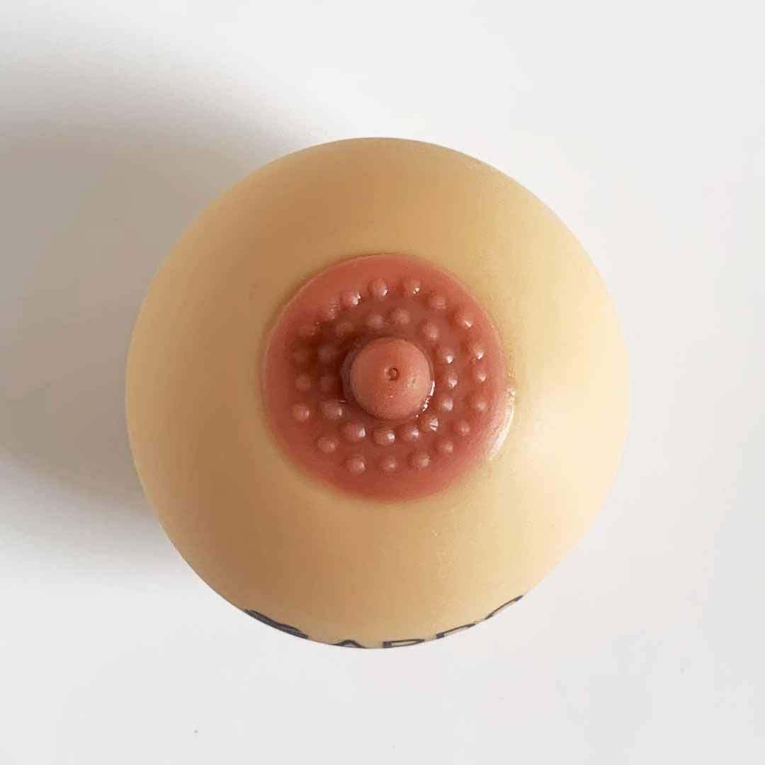 Modelo de Lactancia Materna Ardo Demo Silicona para Profesionales de la Salud