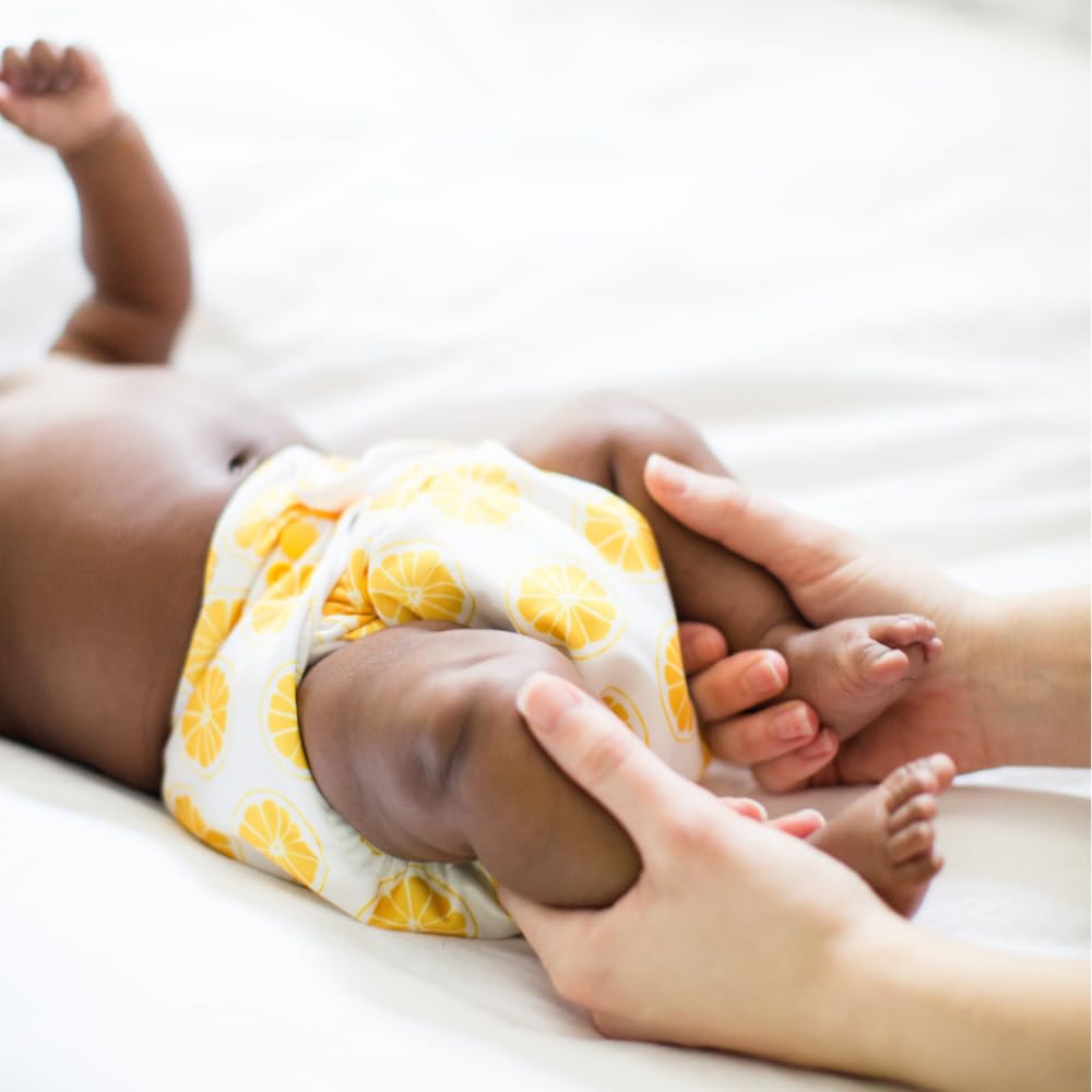 The Bee's Knees 4-Pack Cloth Pocket Diapers with 4 Bamboo Inserts