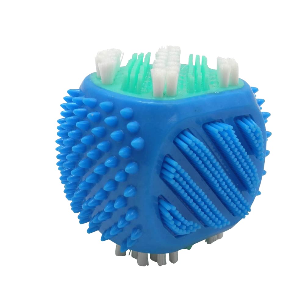 Juguete Dental Fancy Pets en Forma de Cubo con Cerdas para Perro