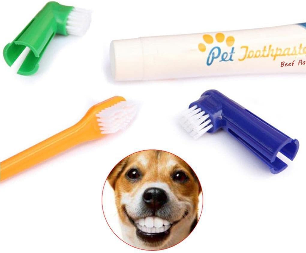 Juego de Cepillos Dentales para Perros | Doble Cabezal, Mango Antideslizante | Limpieza Bucal Avanzada | Accesorios para Mascotas | Material PP y Nailon (Vainilla)
