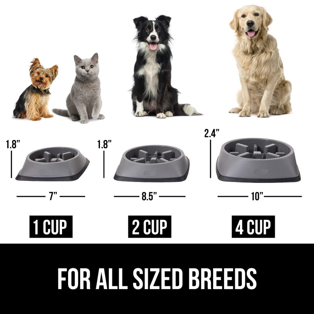 Gorilla Grip Cuenco antideslizante de alimentación lenta para mascotas, 2 tazas, ralentiza los alimentos, hábito de alimentación saludable, reduce a los perros de comer en exceso, mejora la digestión de las mascotas, apto para lavavajillas, para alimentos