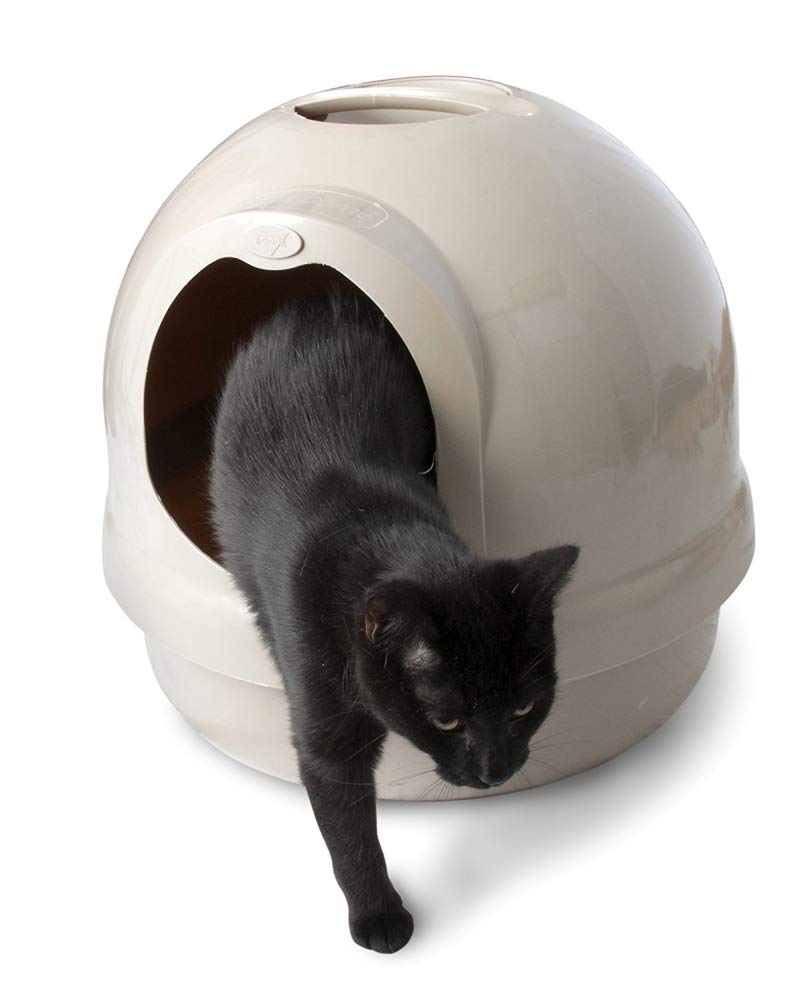 Booda Petmate Dome Litter Box, Metallic Pearl White, 17.5'' Diameter x 18''H (Pearl - Color)