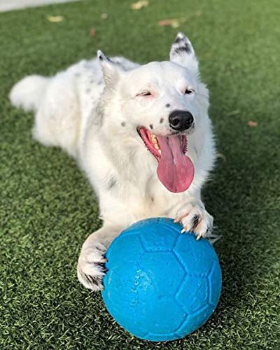 Jolly Pets Pelota de fútbol Grande Flotante para Perro, Juguete de 8 Pulgadas de diámetro, Azul océano