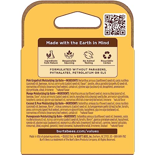 Burt's Bees Bálsamo Labial Sabor a Frutas - Superfruit Lipbalm - Pack x4