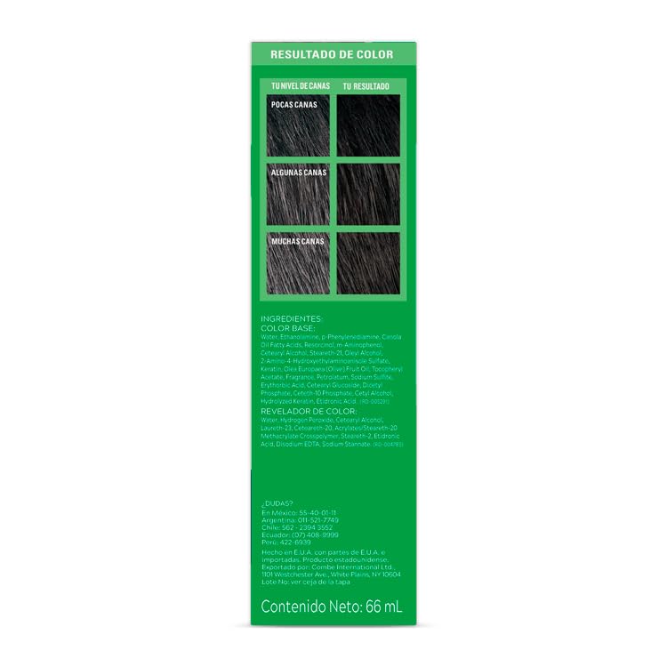 Just For Men, Tinte Colorante En Shampoo, Negro H55, Opción Ideal Para Cubrir 100% de Las Canas, 66ml