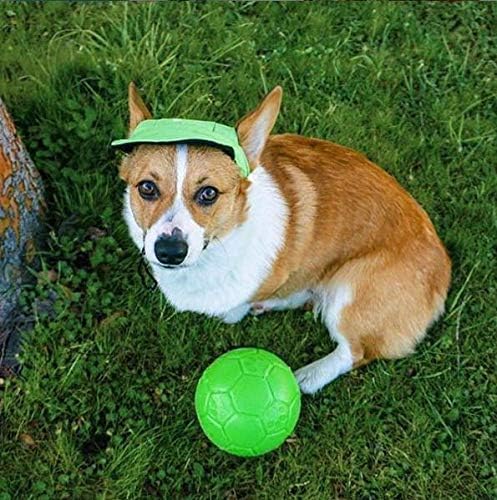 Jolly Pets - Pelota de fútbol Mediana de 6 Pulgadas, Juguete Flotante para Perro, Color Verde Manzana