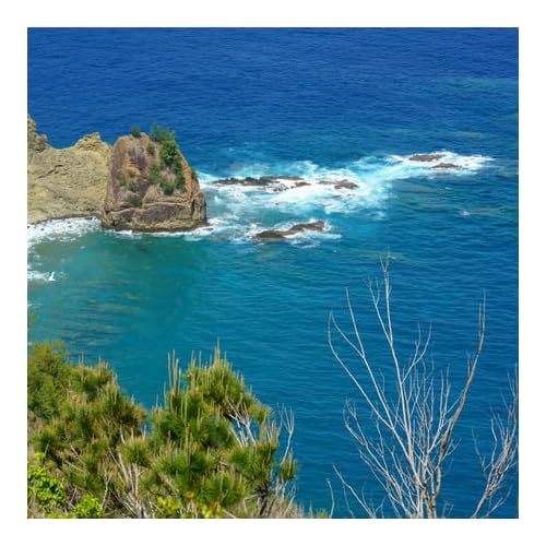 Lente Tamron 50-400mm F/4.5-6.3 Di III VXD para Sony E