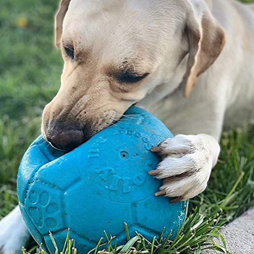 Jolly Pets Pelota de fútbol Grande Flotante para Perro, Juguete de 8 Pulgadas de diámetro, Azul océano