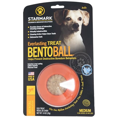 Juguete Masticable Starmark Everlasting Treat Bento Ball Mediano para Perro