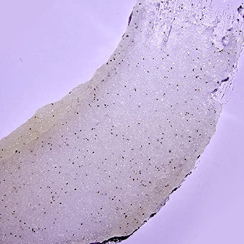 Exfoliante Corporal de Azúcar Natural Tree Hut Vainilla Tahitiana con Manteca de Karité para Mujer