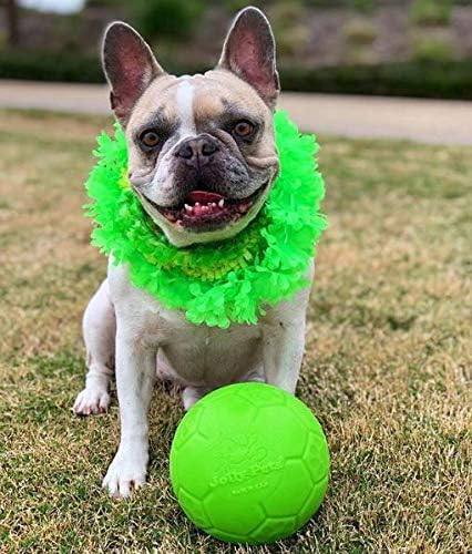 Jolly Pets - Pelota de fútbol Mediana de 6 Pulgadas, Juguete Flotante para Perro, Color Verde Manzana