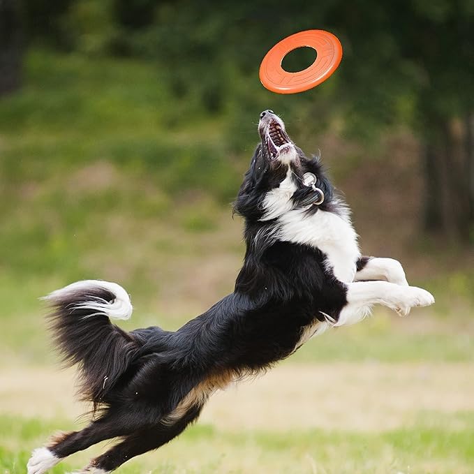 Disco Volador Nerf Dog Naranja 10 Pulgadas Atómico