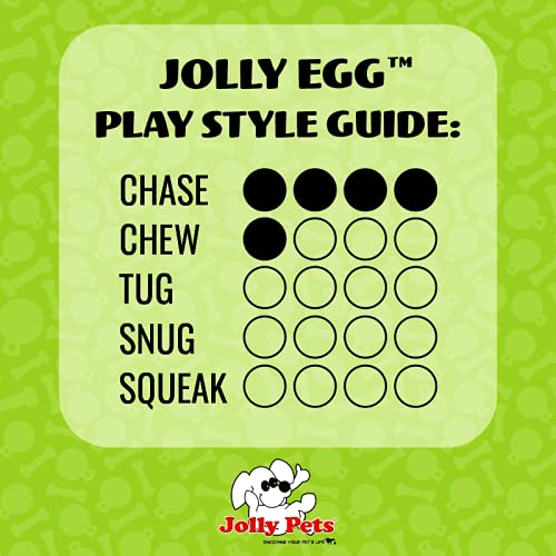Jolly Pets Jolly Egg - Juguete para Perro, 12 Pulgadas/Grande, Morado
