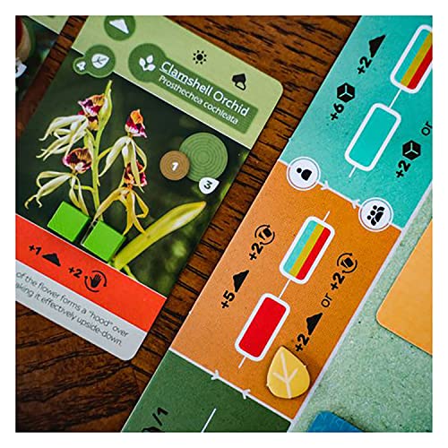 Earth - The Board Game by Inside Up Games & Maxime Tardif, Ecosystem Building, Card Drafting & Action Selecting, for 1 to 5 Players, Play Solo-Multiplayer-Teams, 45-90 Minute Playing Time