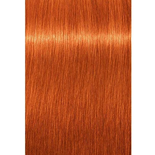 Schwarzkopf Professional Igora Royal Hair Color - 8-77 Light Blonde Copper Extra by Schwarzkopf Professional