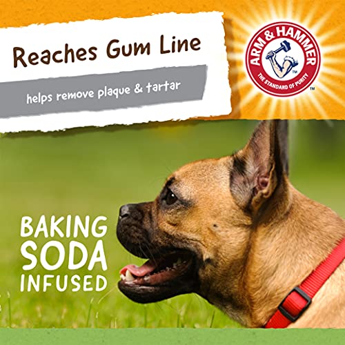 Fetch For Pets Arm & Hammer Tartar Control Bone-Tyrannosaurs Rex