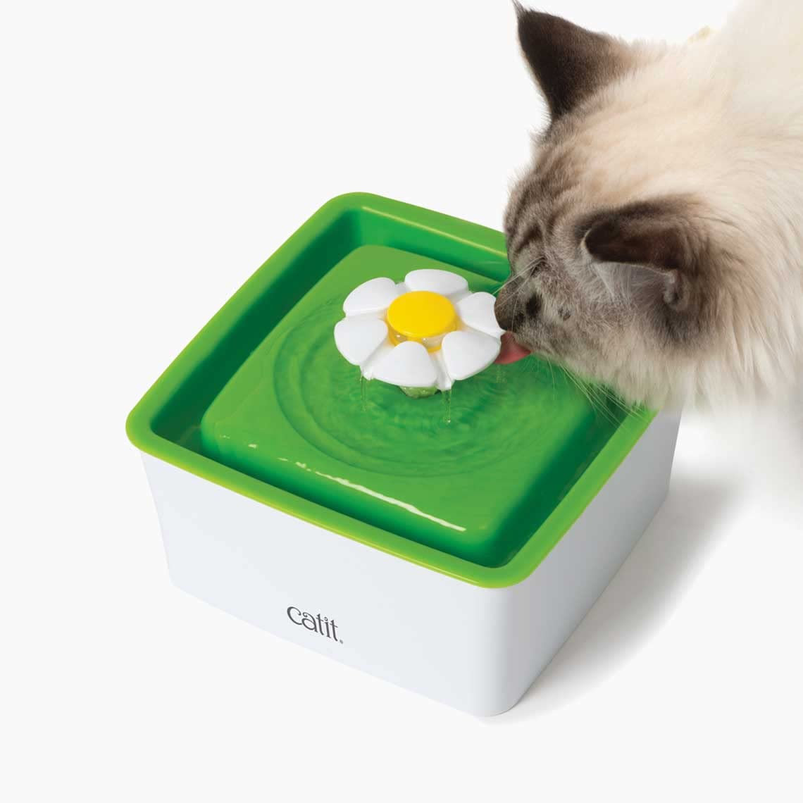 Catit - Mini Filtro para Fuente, Soportes para Fuente