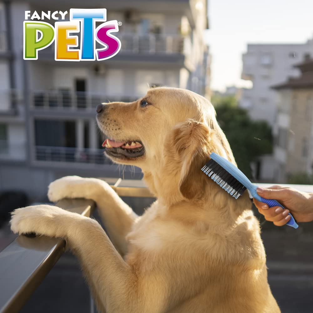Fancy Pets Cepillo Cerdas Suaves y Medias para Perro Tamaño Chico