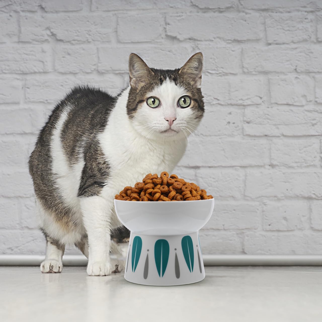 FOMIYES Tazón De Comida para Gatos Cuenco Compacto para Gatos Cuencos Elevados para Gatos De Interior Cuenco De Alimentación Platos De Comida para Gatos Bisel Plato De Gato Cerámica