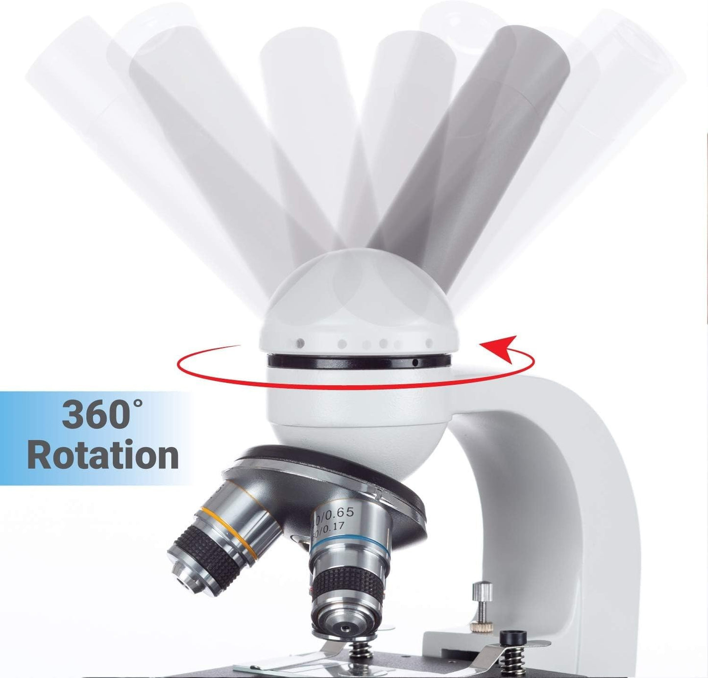 Microscopio Compuesto AmScope M150C-E-A LED Blanco con Enfoque Grueso y Fino para Estudiante y Cámara Digital USB
