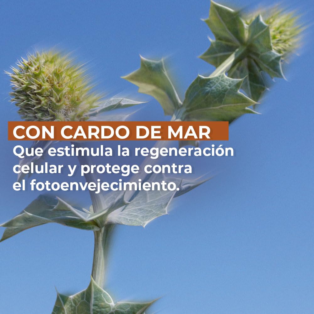 Protector Solar Yves Rocher FPS 50 Atenuador de Arrugas