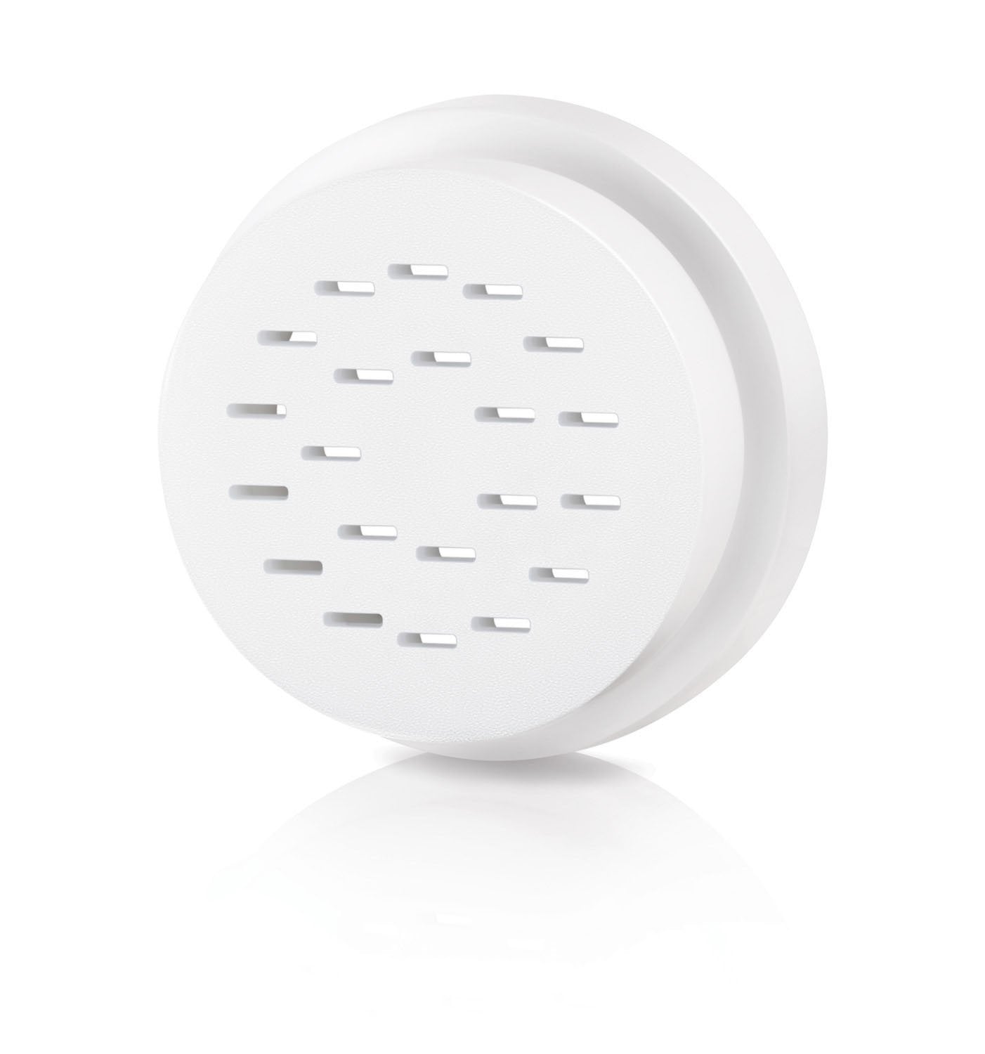 Accesorio para Hacer Pasta Philips HR2485/09 Tagliatelle y Pappardelle