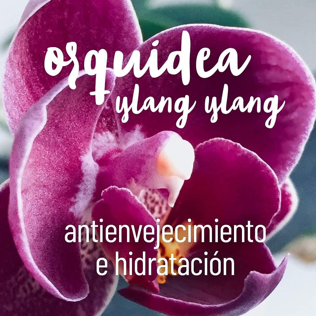 OLEUM VITAE Hair & Body Oil. Aceite Hidratante para Cabello y Cuerpo Orquídea-Ylang Ylang. Con Aceite Esencial de Ylang Ylang. 60ml